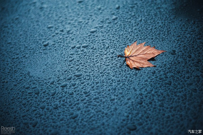 宝马X6,不谈性能如何!自驾遇上大雨还被拍成大片,颜值绝对够!