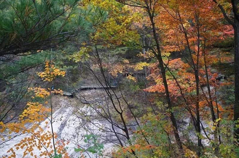 洛阳适合中学生好玩免费景点,洛阳各个景点的介绍