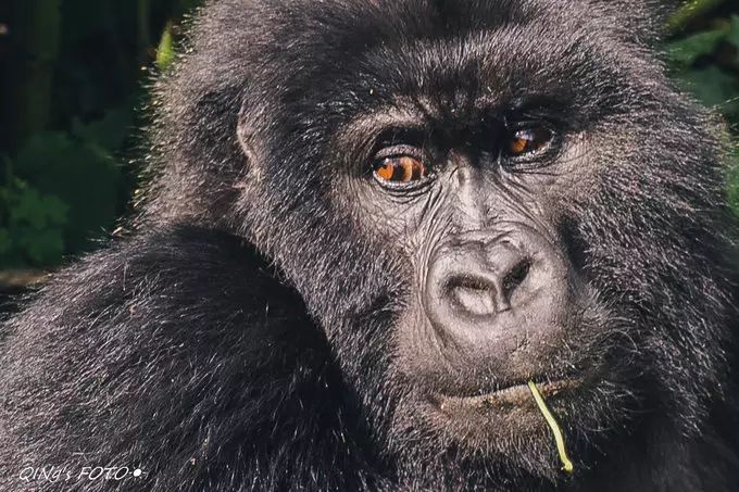 750块钱可以干什么,750块钱能干什么