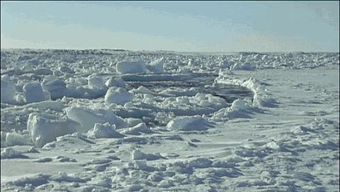 等了你十七年,等了17年