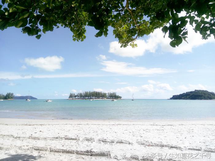 去兰卡威红树林,去兰卡威怎么玩