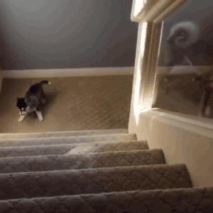 短笑话大全30字之内正能量短笑话,笑话大全100个短笑话文字版本