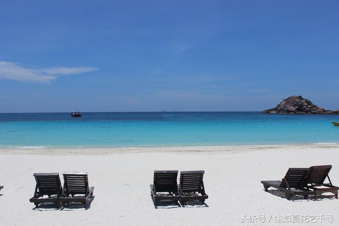 去兰卡威红树林,去兰卡威怎么玩