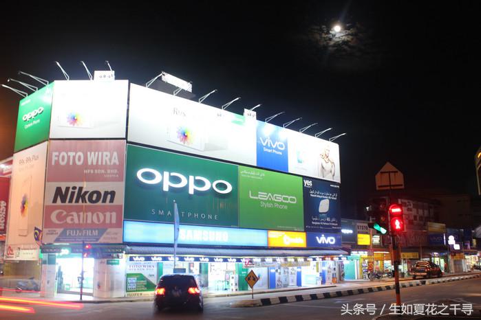 去兰卡威逗小鲨鱼，登嘉楼热浪岛浪一浪