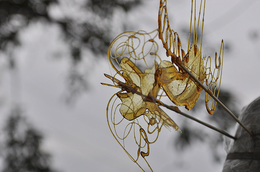 以前可以吃的东西是什么,以前可以吃的东西现在不喜欢