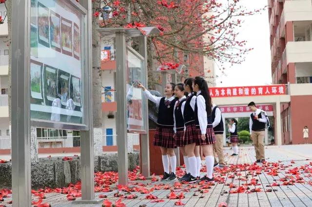 柳州市第十二中学分数线,柳州市第十二中学农志勋