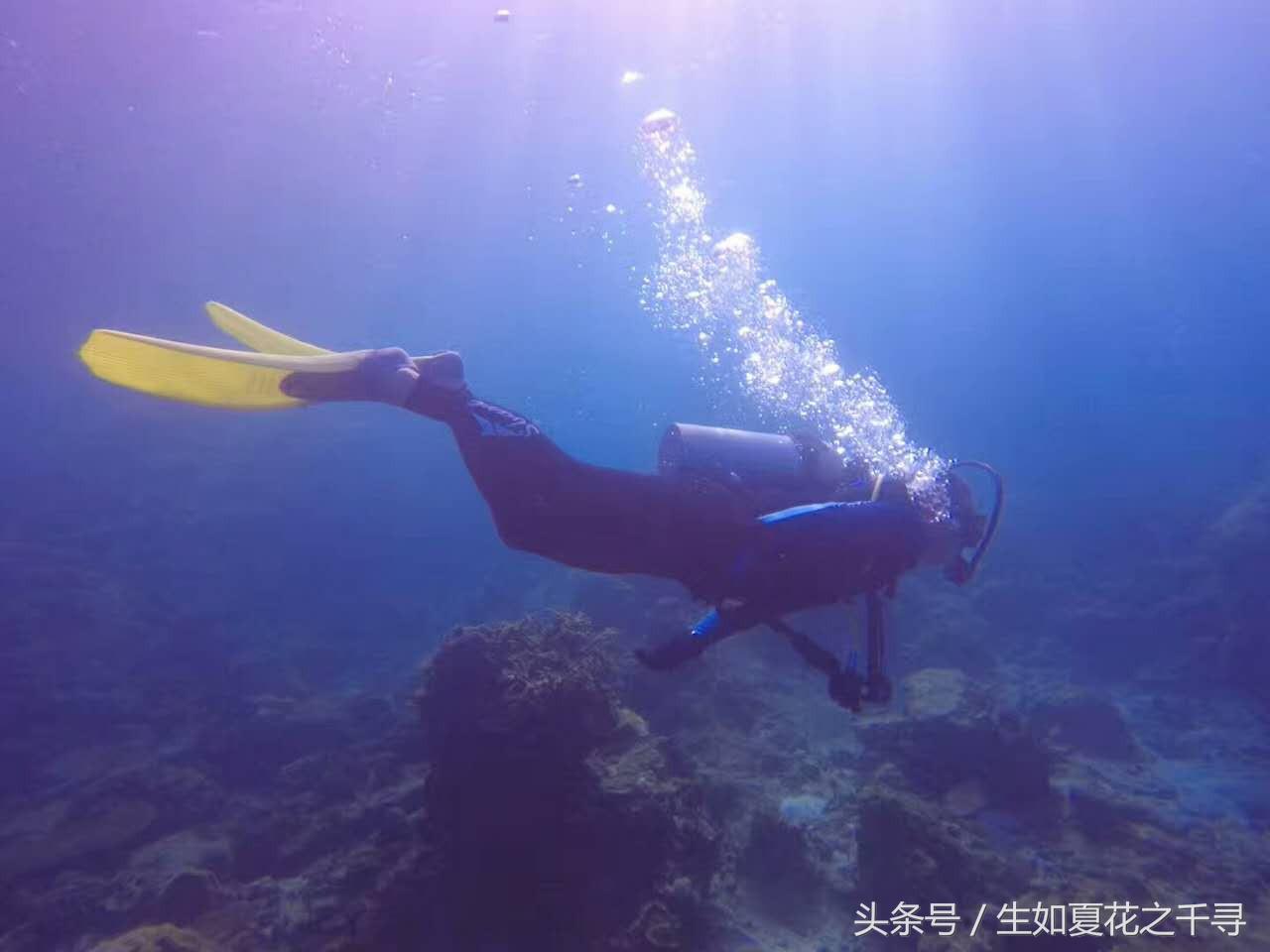 去兰卡威红树林,去兰卡威怎么玩