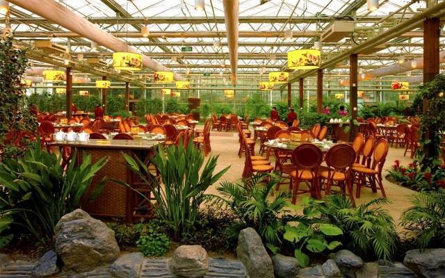 浜儕閲戠鏃呮父,涓板彴閲戠娆㈡父