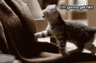 新沟通语言BOOP！无法抗拒的可爱