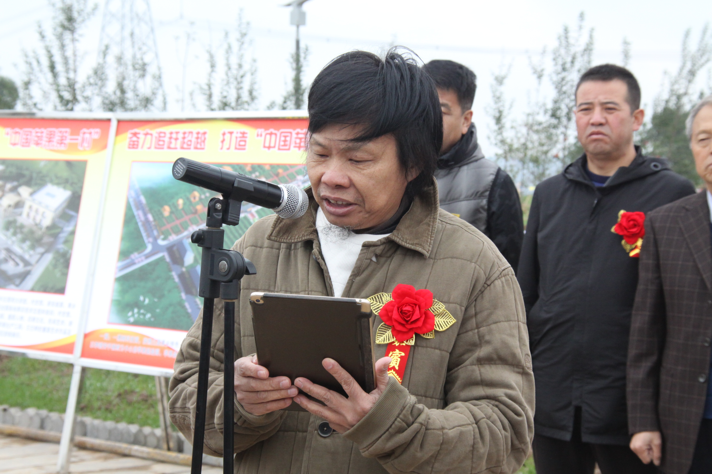 最新的洛川苹果,新的洛川苹果