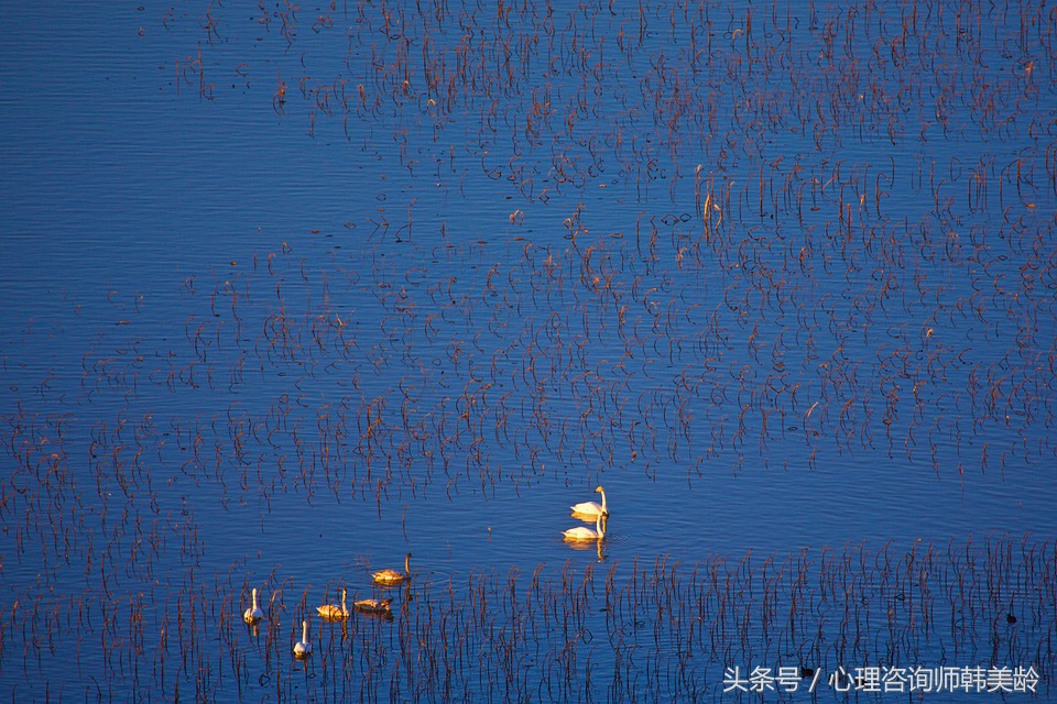 心理上的强迫症是什么,为什么总有一种强迫症心理