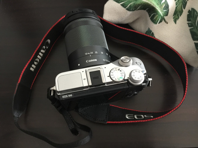 日本的神户牛肉,日本大阪环球影城奈良的鹿