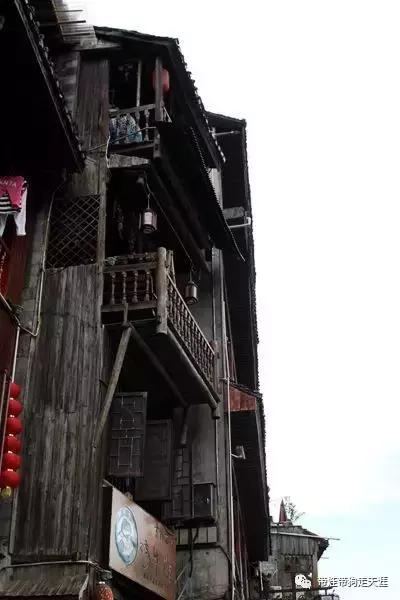 开着房车去遛娃,开着房车带狗狗出去玩