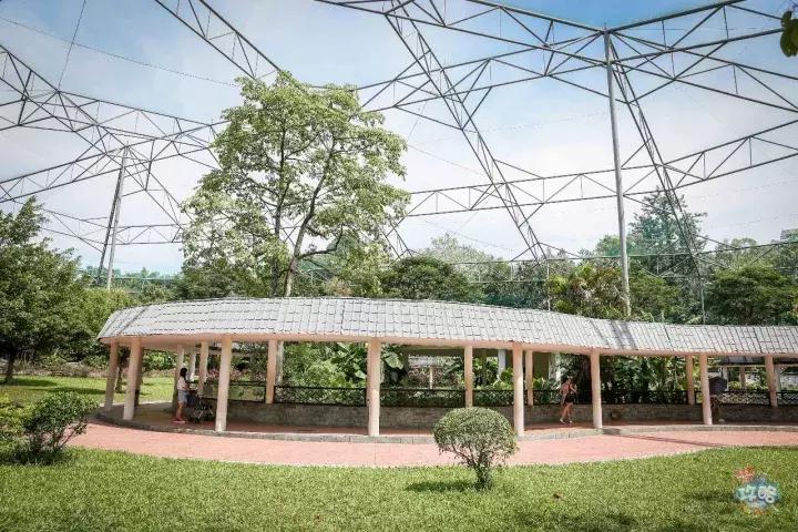 广州动物园的地图,广州动物园下一站去哪里