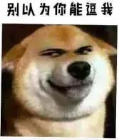 手机哪些功能可以免费使用,手机里的神奇功能你为什么不用