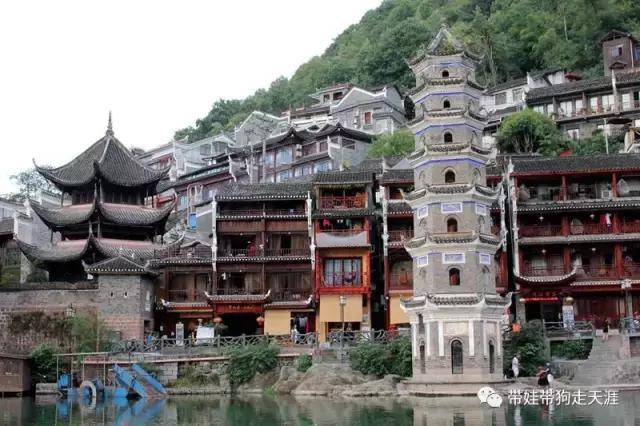 开着房车去遛娃,开着房车带狗狗出去玩