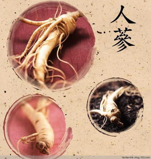 怀孕了能吃红参片吗,怀孕了能吃洋参丸吗