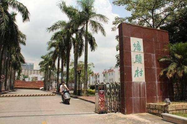 白石洲塘头村要拆迁吗,南山白石洲塘头村租房