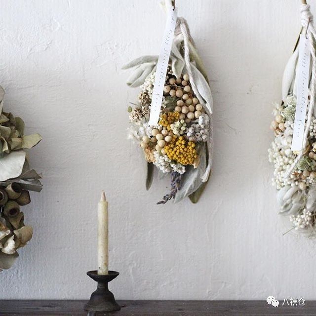 干花的颜色和品种,干花的形态分类