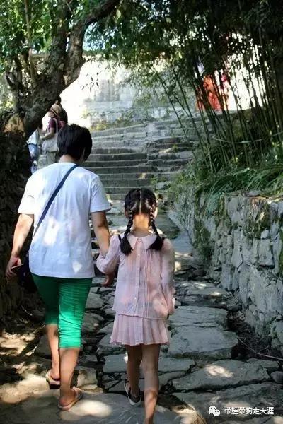 开着房车去遛娃,开着房车带狗狗出去玩