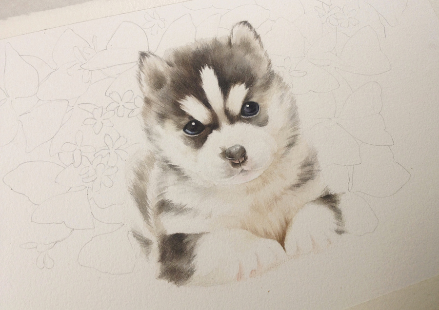 犬种基础护理注意事项和技巧,犬种培育技术