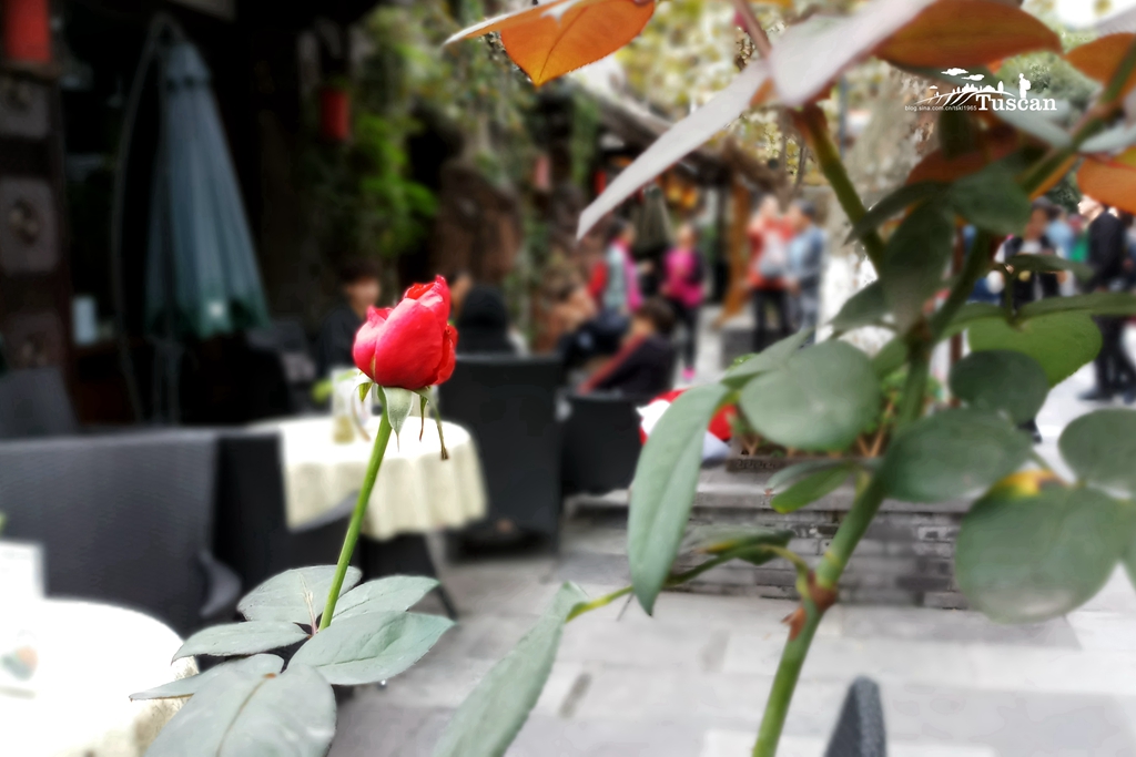 三星galaxyc8港版,三星galaxyc8像素