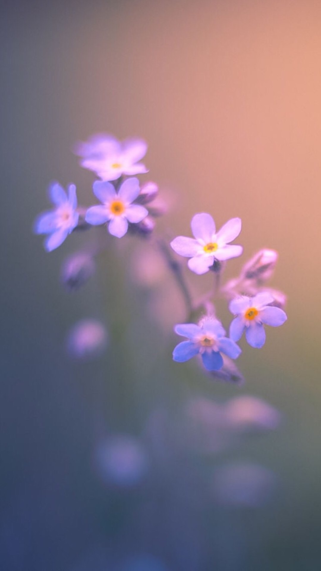 唯美1080×1920P高清壁纸锁屏画面待机背景图！请在wifi环境查看