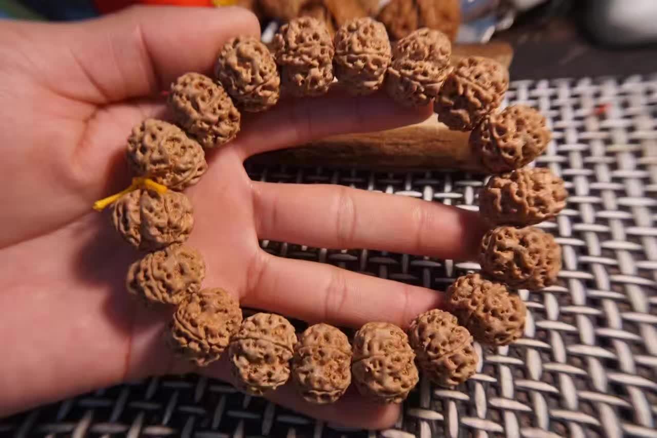 文玩拾遗完整视频,文玩菩提子图片大全集