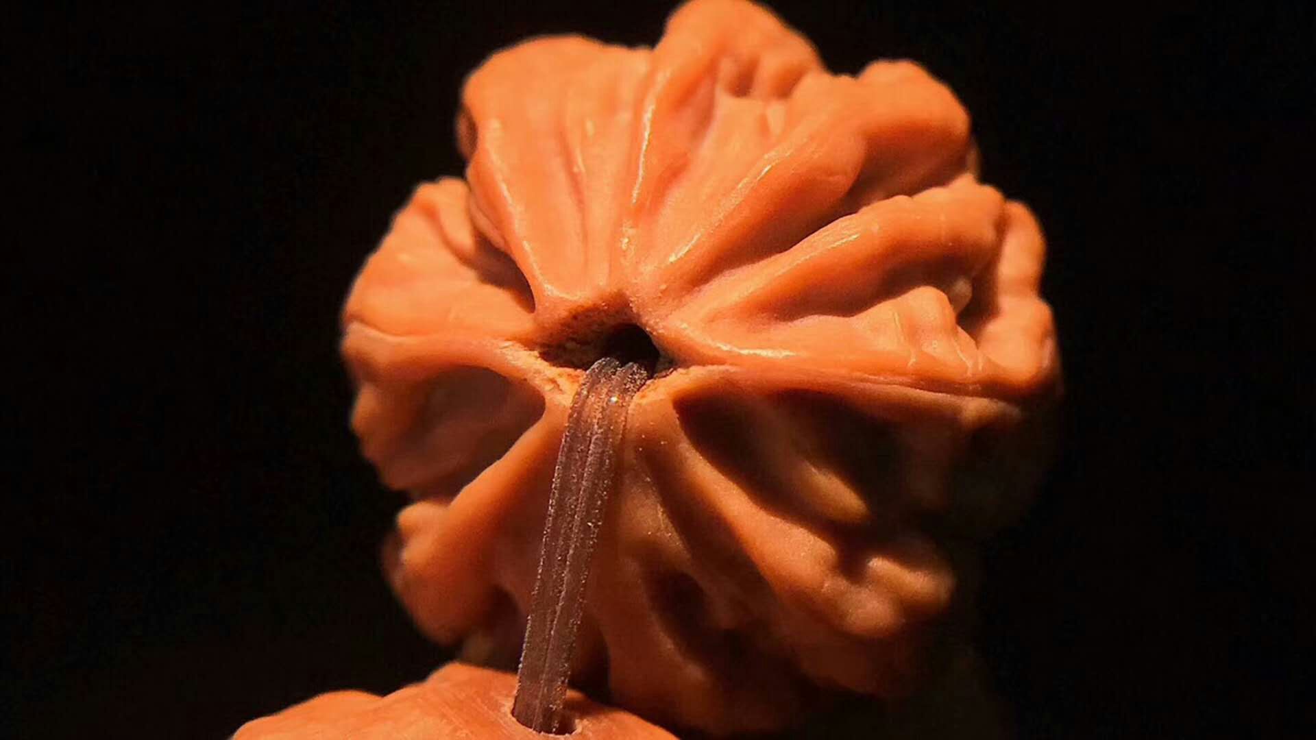 最值得玩的小核桃手串,老核桃手串收藏