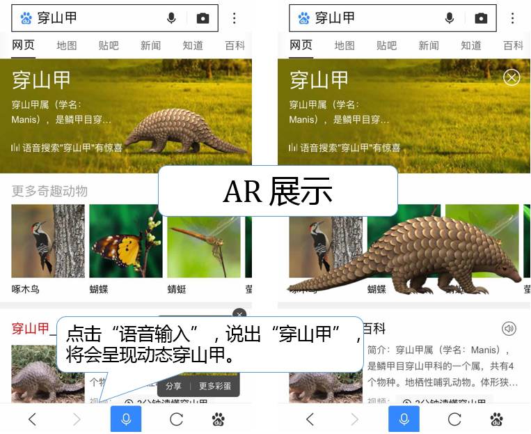 百度贴吧账号被永久封禁怎么办,百度贴吧如何解除封禁