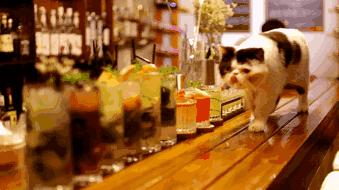 贵阳鸡尾酒吧攻略,贵阳唯一能脱单的酒吧