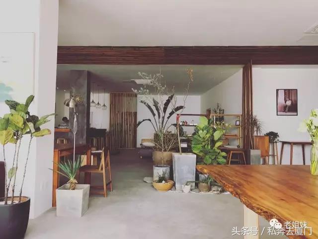 厦门民宿厦门慢生活雅厝别苑,厦门索居奢野villa海景民宿