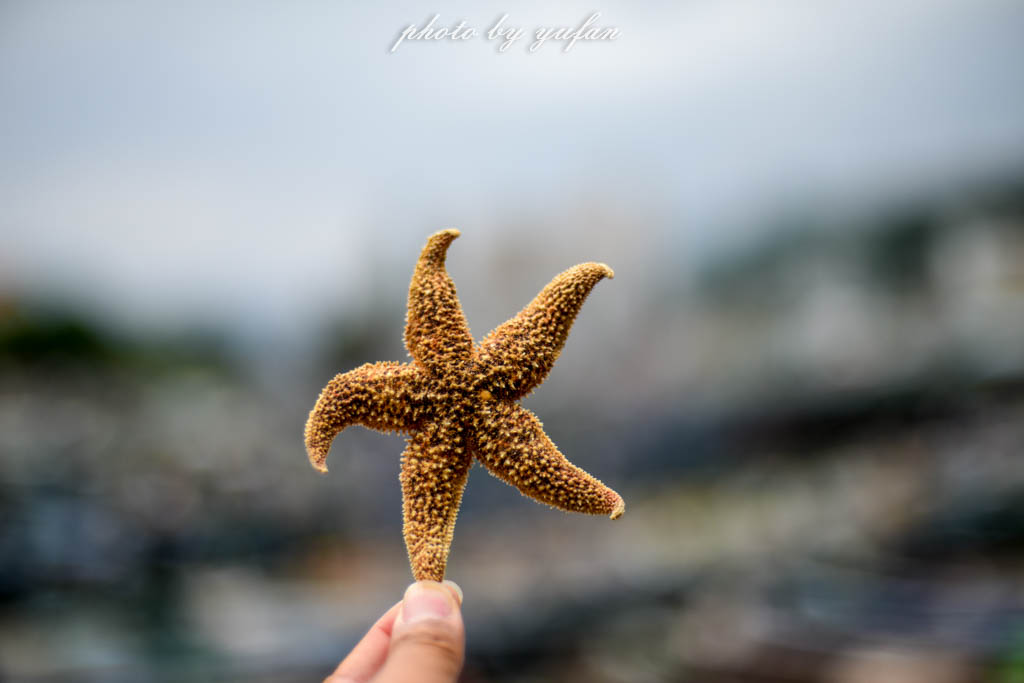 大亚湾玩乐攻略,惠州大亚湾吃喝玩乐攻略