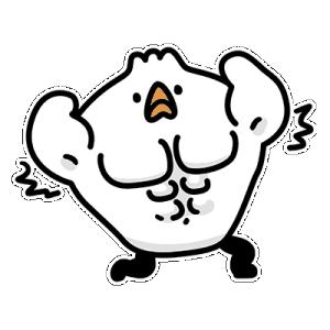 新加坡的网上居然有人卖活“宠物鸡”？