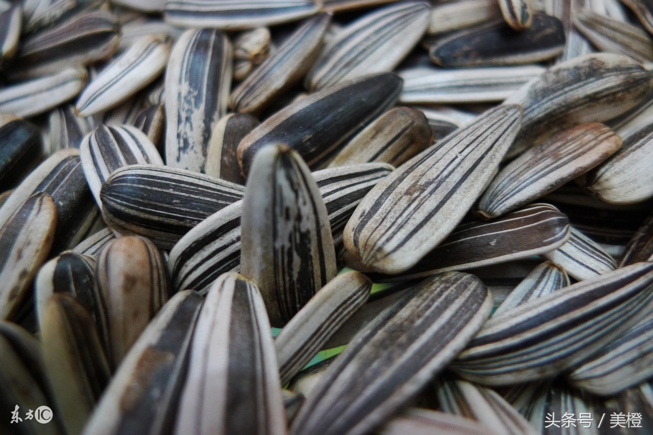 老年人适合吃的坚果有哪些,孕妈哪种坚果营养最好