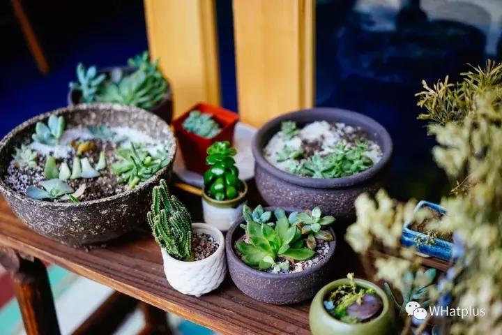 武汉最不好吃的几家店,武汉十大必吃馆子探店