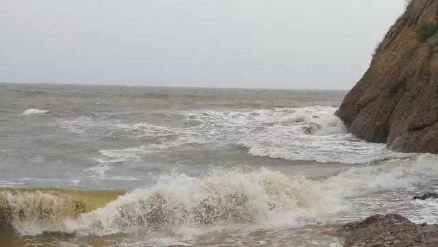 长城wey怎么样,长城wey2022款混动版