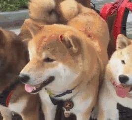 学校组织学生第二天穿父母工作服来上课,小明真太屌丝了