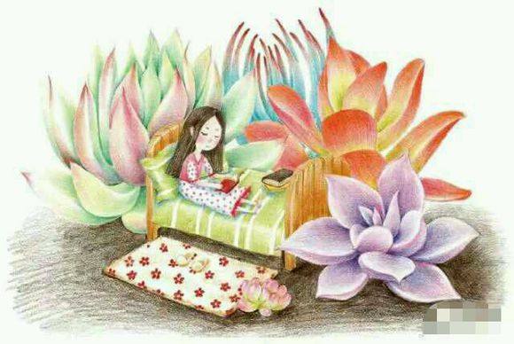 多肉生病了怎么治疗,多肉反复生病怎么治