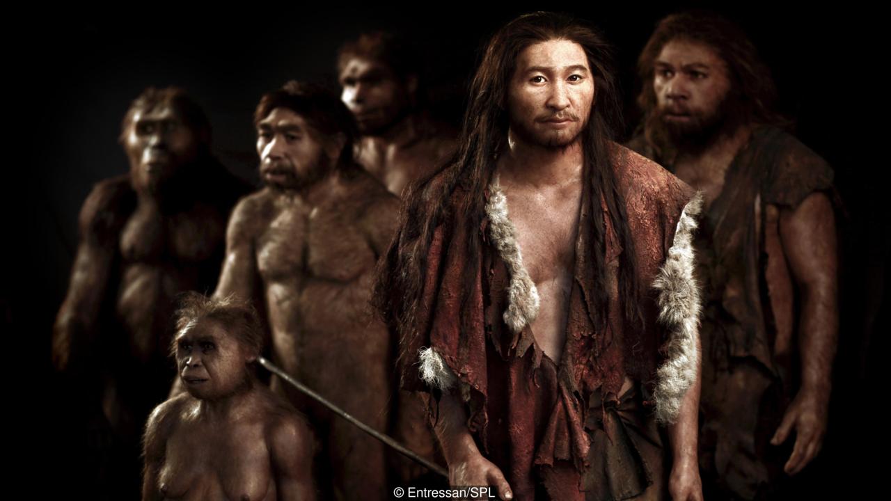 去俄罗斯，推荐买件貂皮带回去！