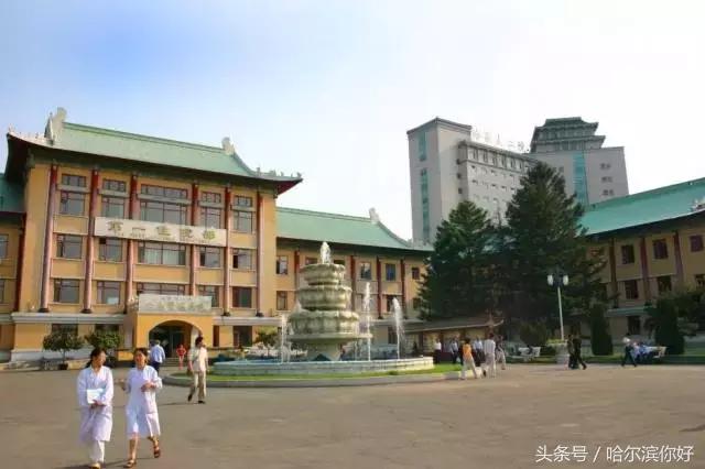 哈尔滨南岗区道里区有什么区别,哈尔滨道里区算主城区吗