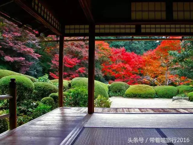 在日本最美的地方生活,在日本无拘无束做自己