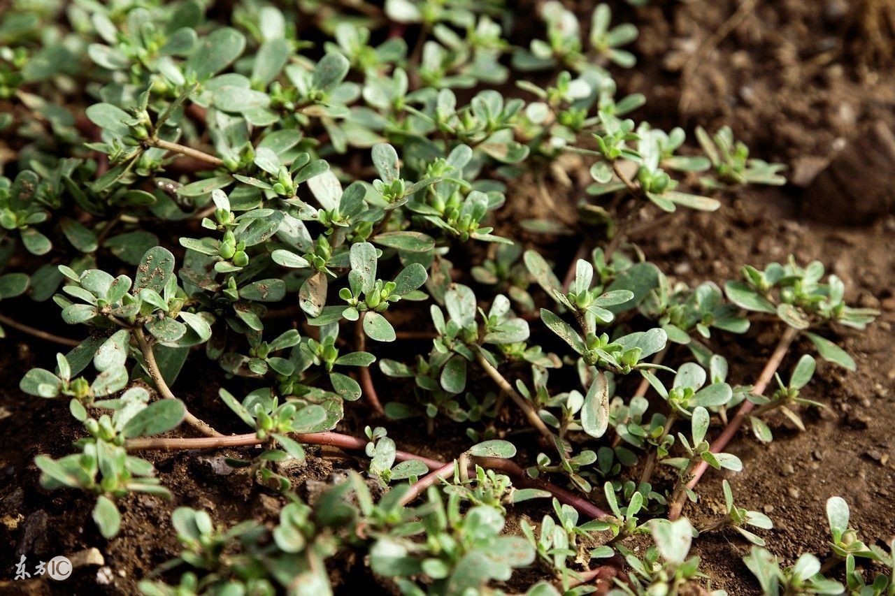 怀孕30周孕妇需要注意什么,怀孕十九周孕妇应该注意什么