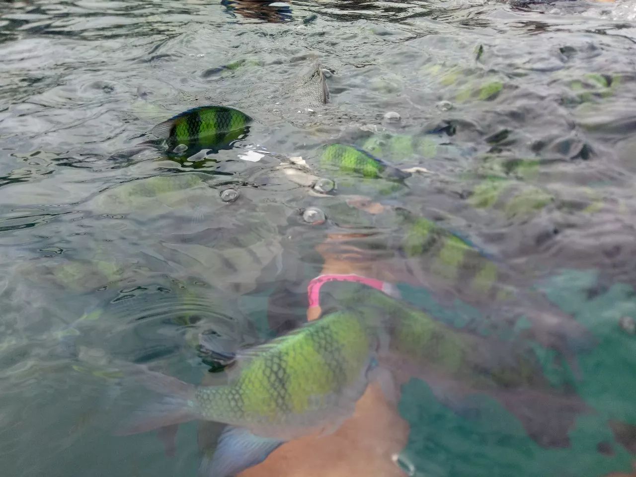 兰卡威海岛旅游六日游,兰卡威海岛之旅