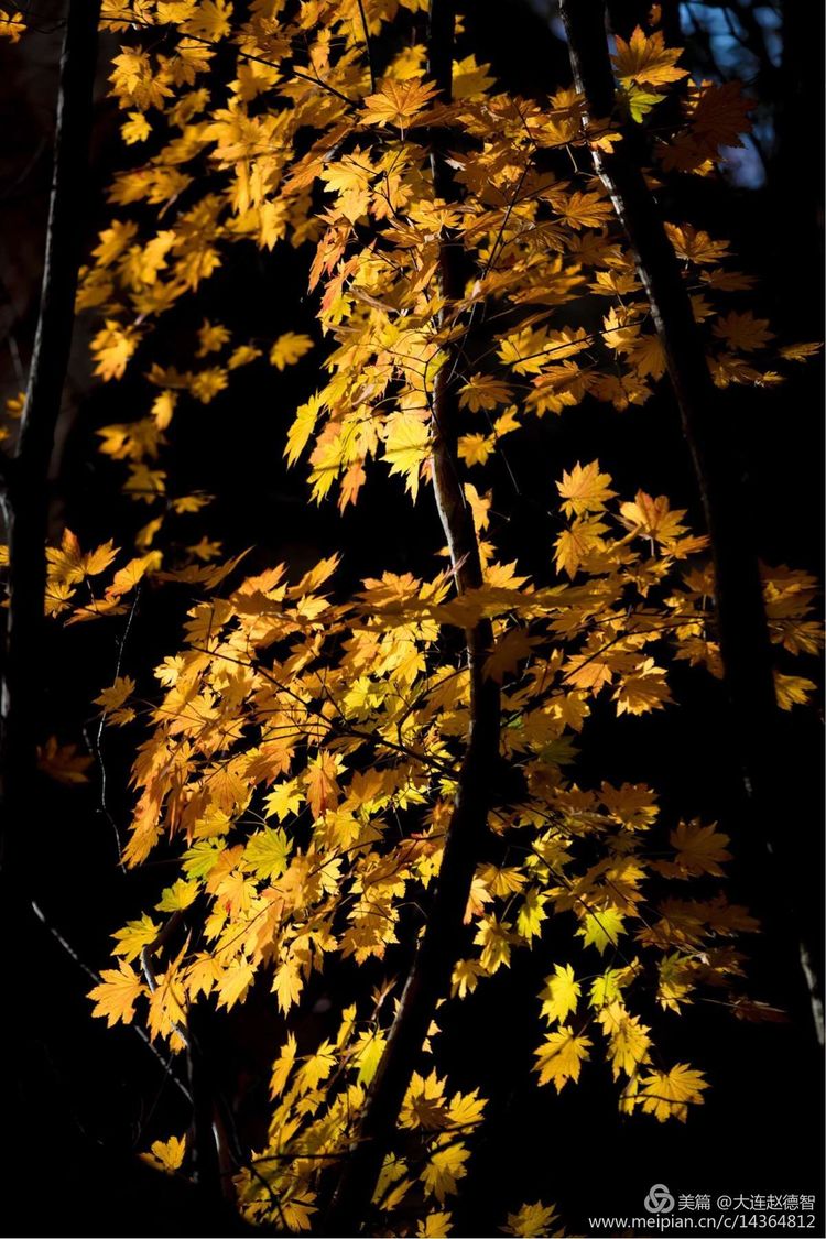 庄河天门山有哪些景观,庄河天门山全景