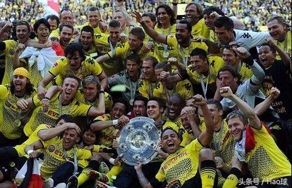 蜜蜂战斗大黄蜂,大黄蜂与蜜蜂的激烈战斗