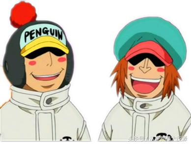 海贼王里一共出现过多少人物(四)(超新星等)