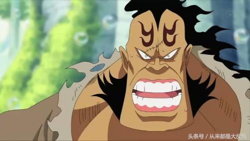 海贼王里一共出现过多少人物(四)(超新星等)