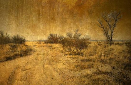 新鞋子如何处理不易臭脚,鞋子臭怎么办教你一招