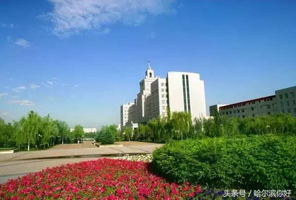 哈尔滨南岗区道里区有什么区别,哈尔滨道里区算主城区吗